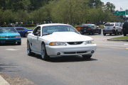 White Mustang
